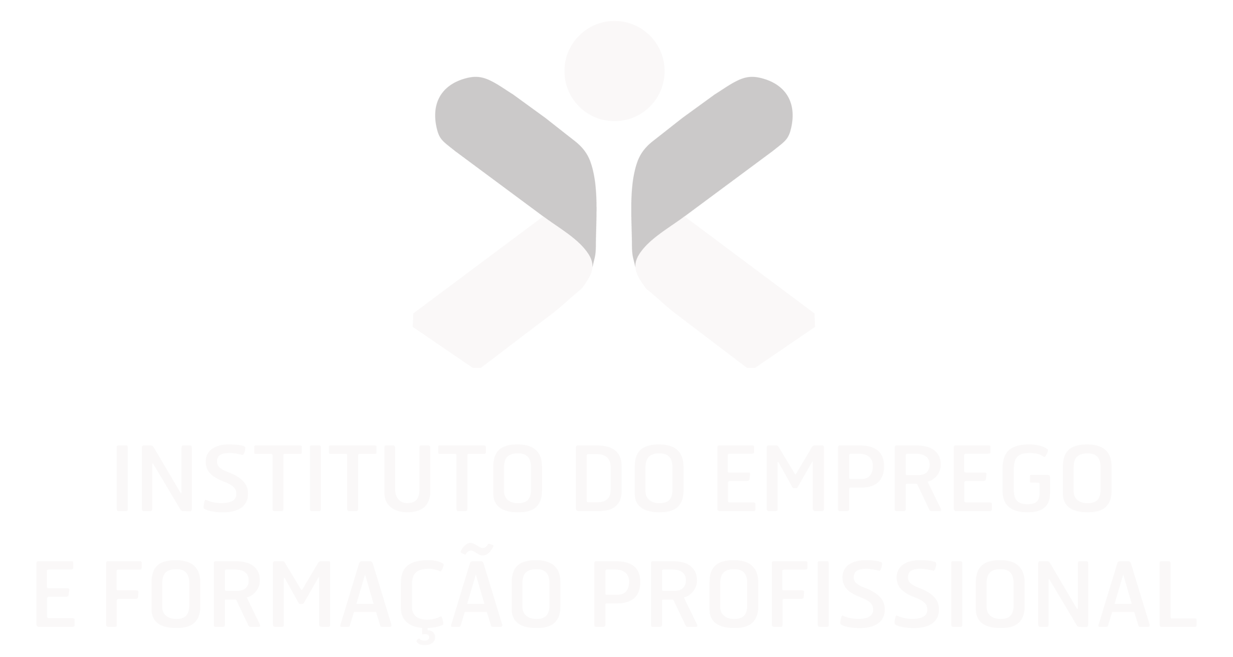 Instituto do Emprego e Formação Profissional (IEFP)